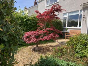 Photo 25- click for photo gallery